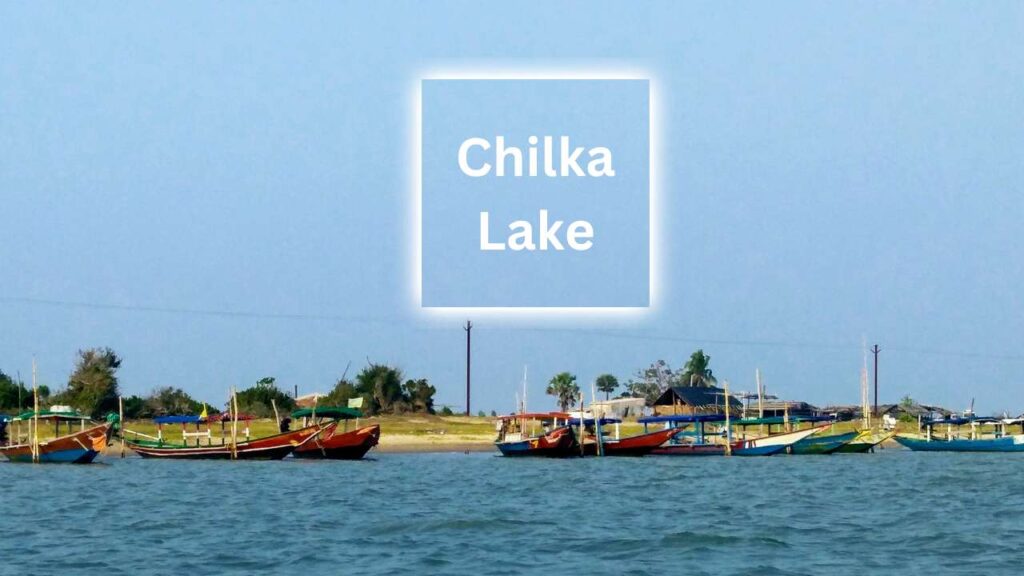 Chilka Lake