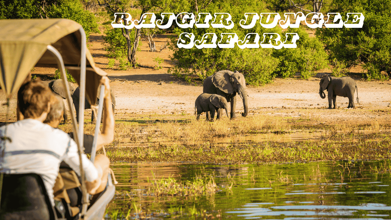 Rajgir Wildlife Safari: Bihar Trip | Bihar Tourist Spot