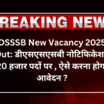 DSSSB New Vacancy 2025 Out: डीएसएसएसबी नोटिफिकेशन 20 हजार पदों पर , ऐसे करना होगा आवेदन ?